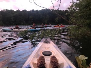 Pennyrile Forest State Resort Park