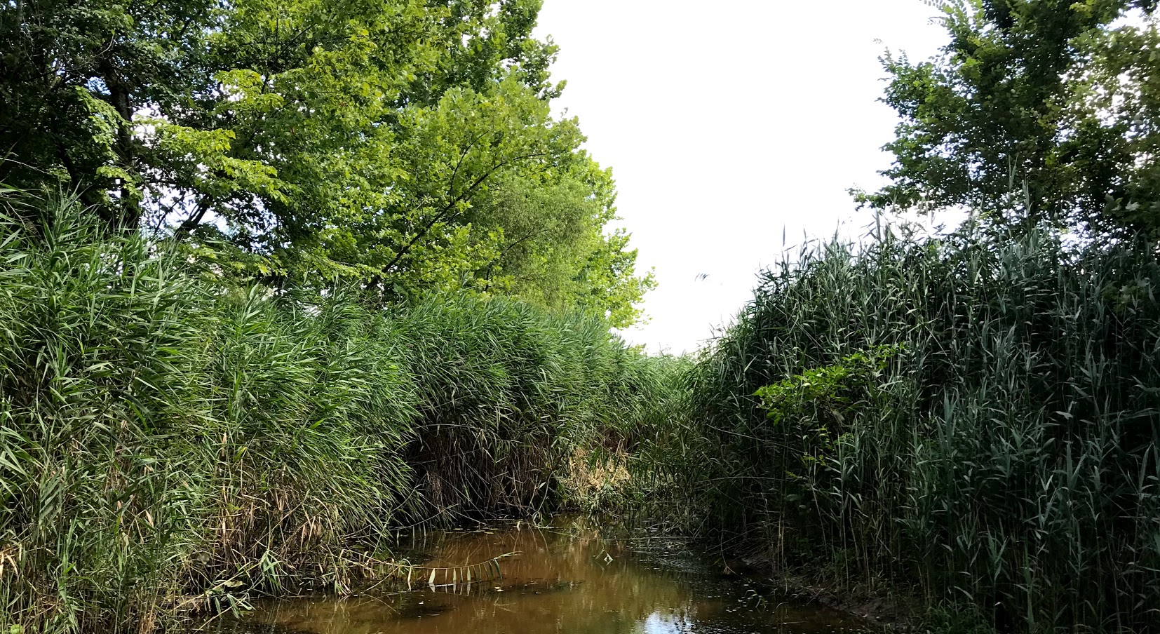 Clear Creek Wildlife Management Area – Visit Madisonville, Ky 