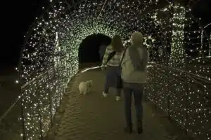 Serenity Path